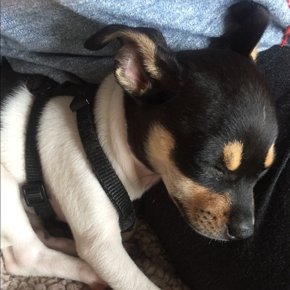 Meet your Posher, Nancy - Picture 4 of 4